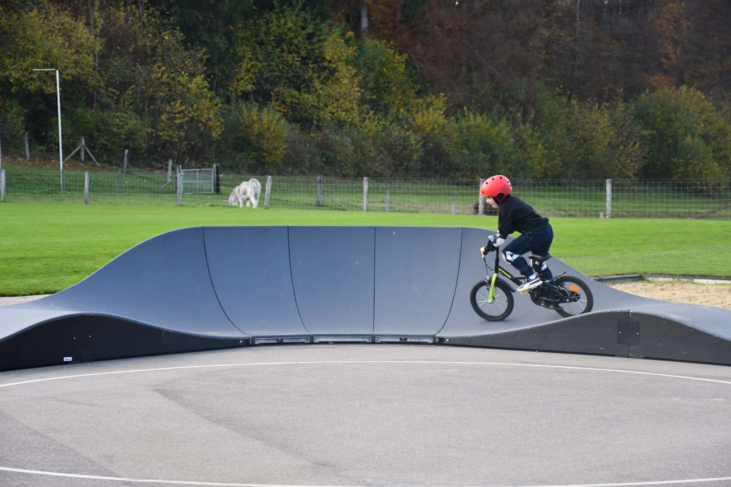 Junge auf Bike fährt den Pumptrack
